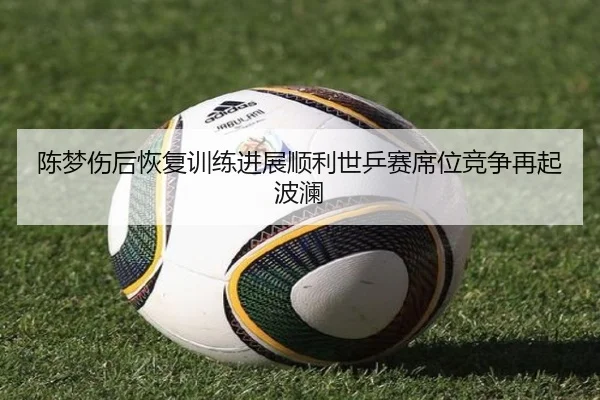 陈梦伤后恢复训练进展顺利世乒赛席位竞争再起波澜 | mksports